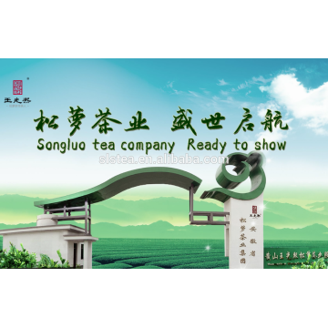Proveedor del té de Huangshan songluo -chunmee con el estándar de la UE para el mercado de Europa